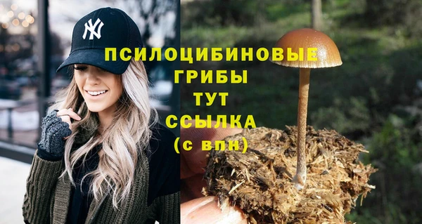 герыч Бронницы
