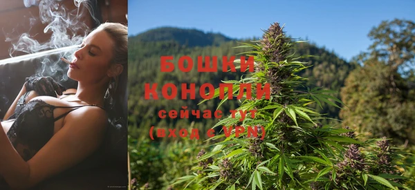 ALPHA PVP Бородино