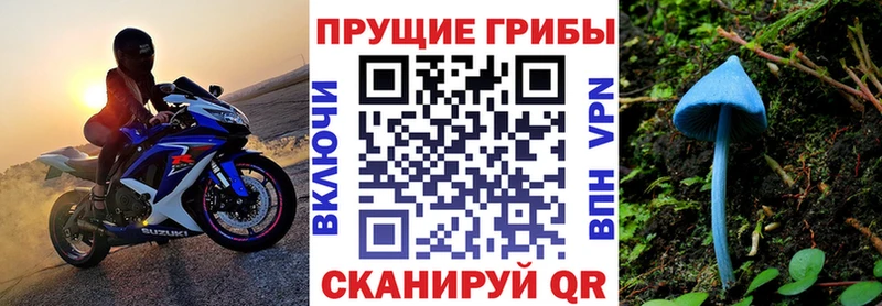 Псилоцибиновые грибы Cubensis  Купить где  Козельск 